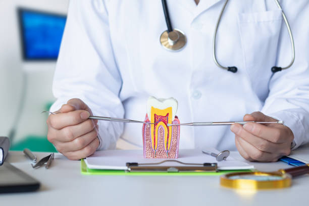 Best 24-Hour Emergency Dentist in Koontz Lake, IN